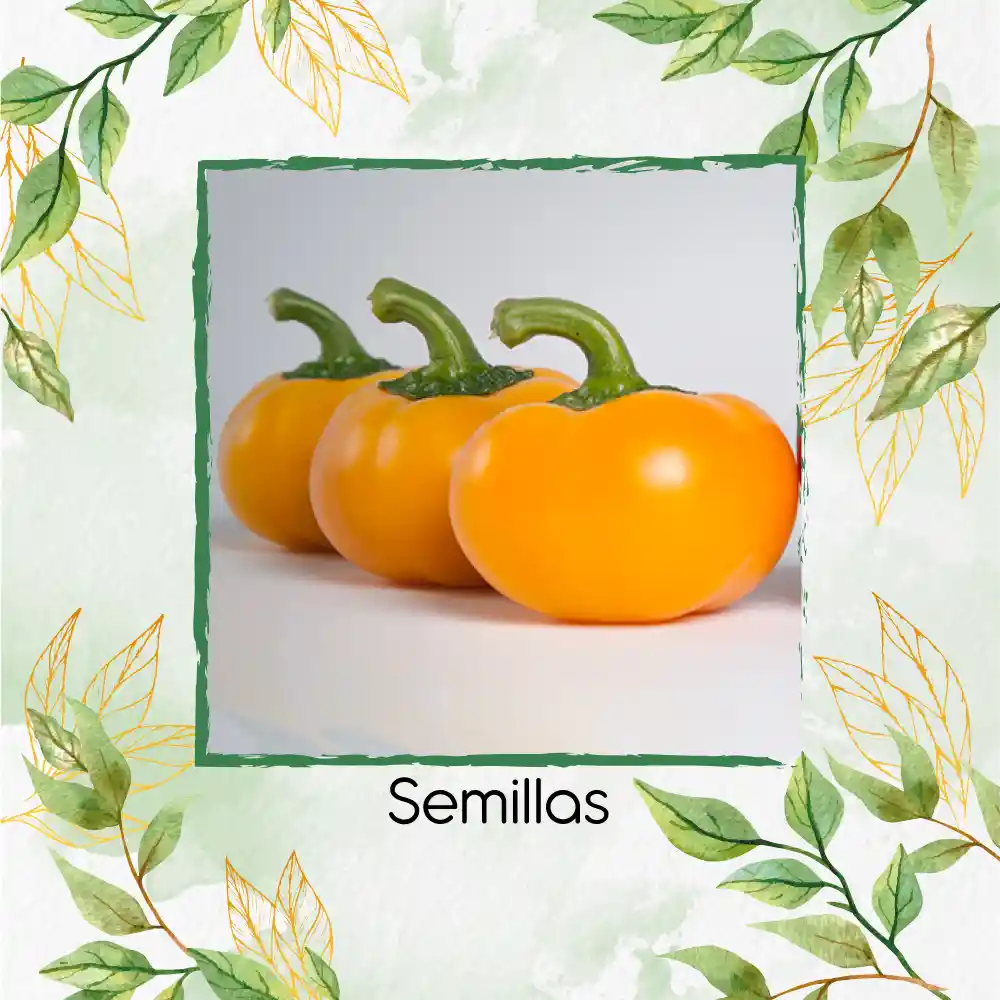 350 Semillas Orgánicas De Pimentón Cherry Naranja Y Otros Mix