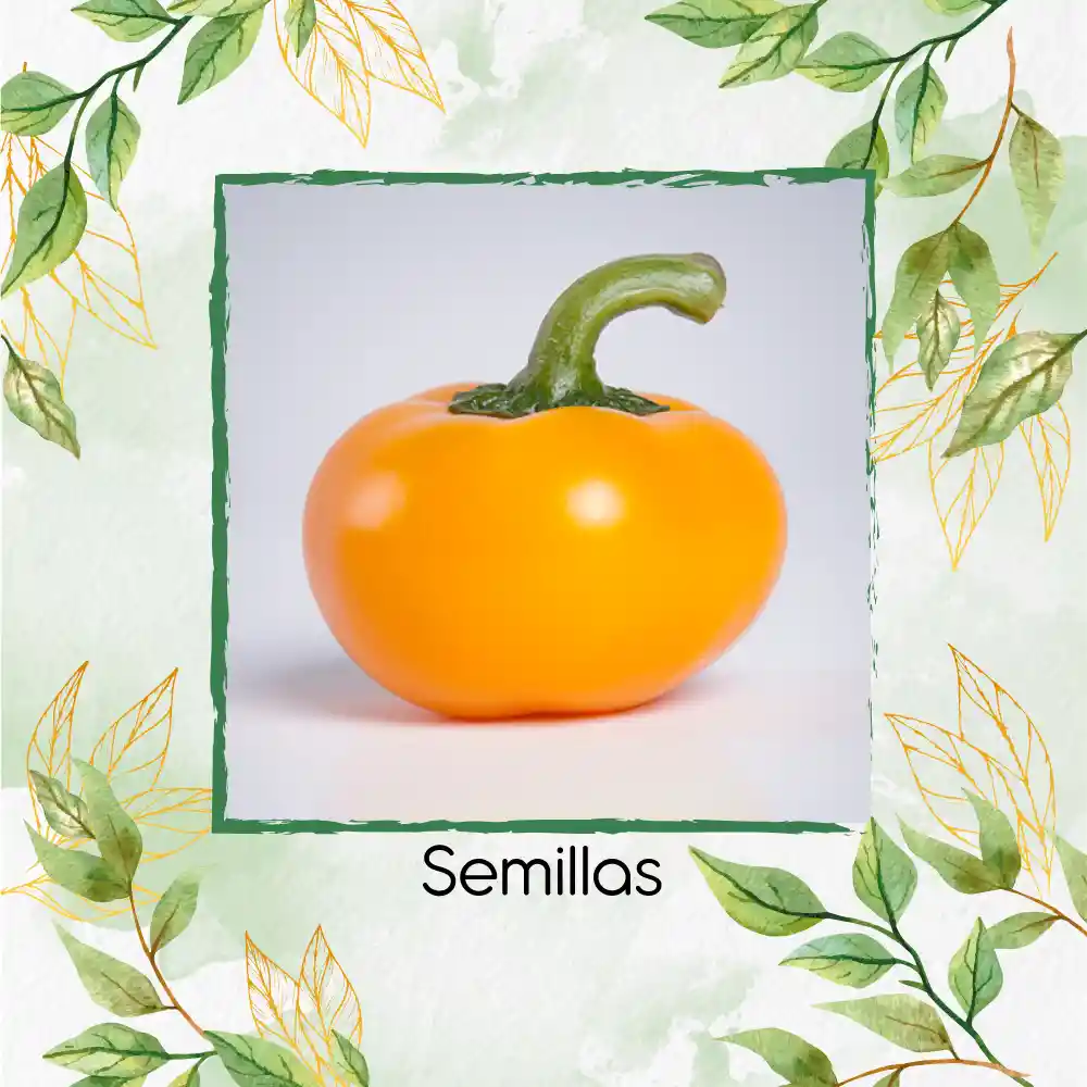 350 Semillas Orgánicas De Pimentón Cherry Naranja Y Otros Mix