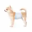 Pañales Para Mascotas L Blancos (macho) X 12unds