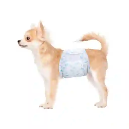 Pañales Para Mascotas L Blancos (macho) X 12unds