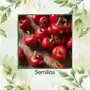 70 Semillas Orgánicas De Pimentón Cherry Rojo Y Otros Mix