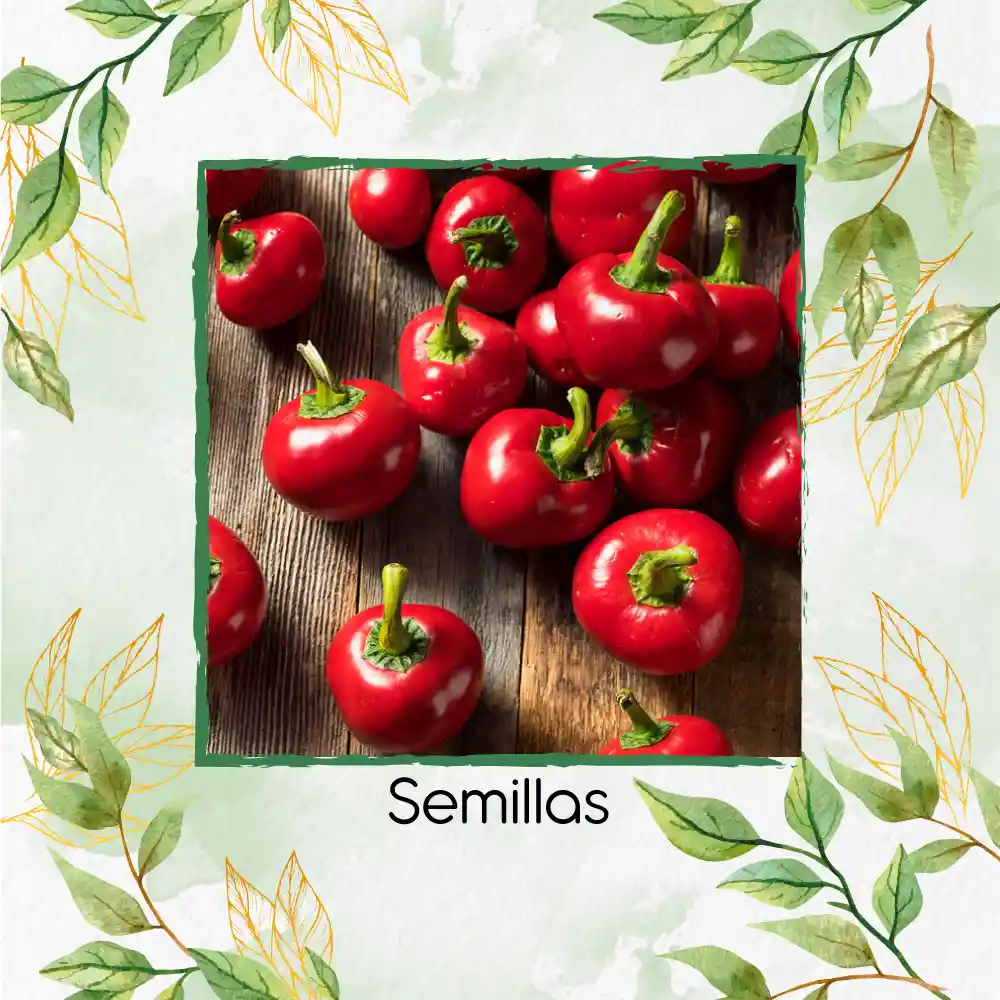 140 Semillas Orgánicas De Pimentón Cherry Rojo Y Otros Mix