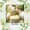 70 Semillas Orgánicas De Pimentón Blanco