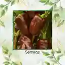 35 Semillas Orgánicas De Pimentón Chocolate