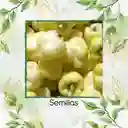 70 Semillas Orgánicas De Pimentón Crema