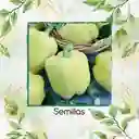 70 Semillas Orgánicas De Pimentón Crema