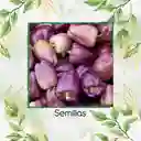 70 Semillas Orgánicas De Pimentón Lila