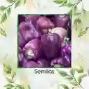 140 Semillas Orgánicas De Pimentón Lila