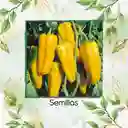 700 Semillas Orgánicas De Pimentón Marconi Dorado