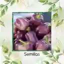 1.400 Semillas Orgánicas De Pimentón Morado