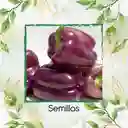 1.400 Semillas Orgánicas De Pimentón Morado