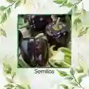 700 Semillas Orgánicas De Pimentón Negro