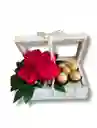 Caja De 5 Rosas 5 Chocolates Ferrero