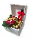 Caja De 12 Rosas 8 Chocolates Vino Gato Negro 187ml