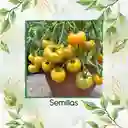 65 Semillas Orgánicas De Tomate Beefsteak Amarillo