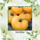325 Semillas Orgánicas De Tomate Beefsteak Amarillo