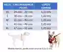 Arnés Y Correa Para Perros De Nailon Reflectante M Rojo Talla Pequeña (gato Grande)