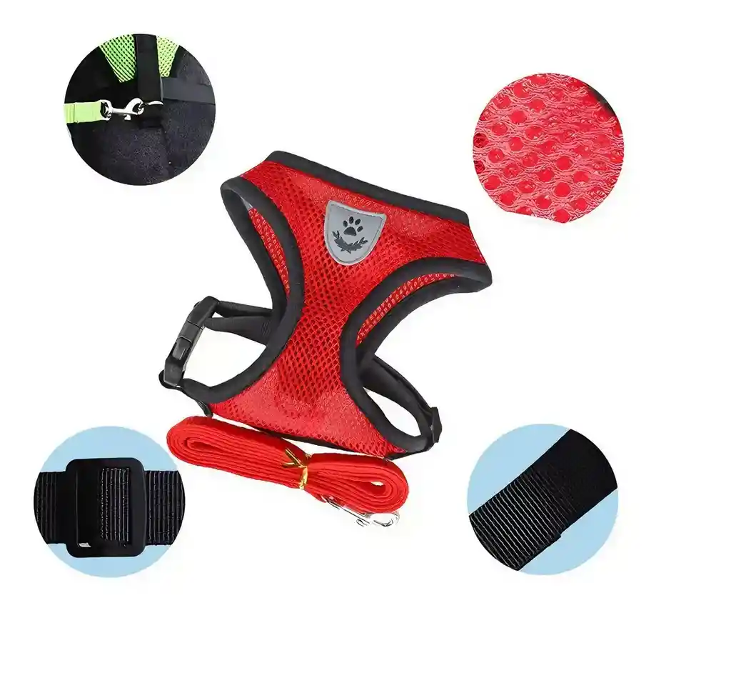 Arnés Y Correa Para Perros De Nailon Reflectante M Rojo Talla Pequeña (gato Grande)