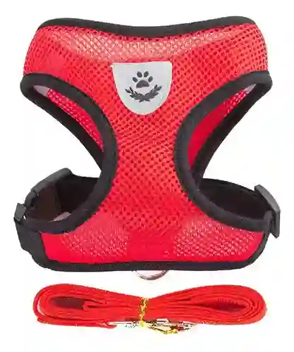 Arnés Y Correa Para Perros De Nailon Reflectante M Rojo Talla Pequeña (gato Grande)