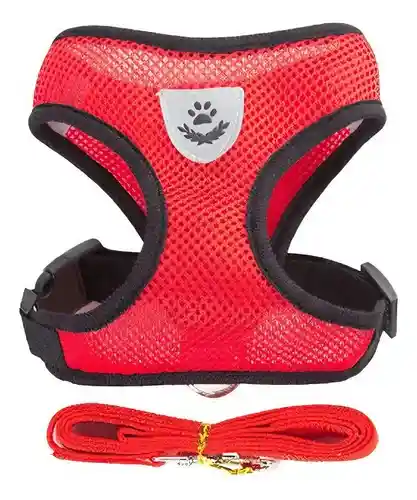 Arnés Y Correa Para Perros De Nailon Reflectante M Rojo Talla Pequeña (gato Grande)