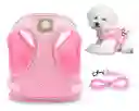 Arnés Y Correa Para Perros De Nailon Reflectante M Rosa Talla Pequeña