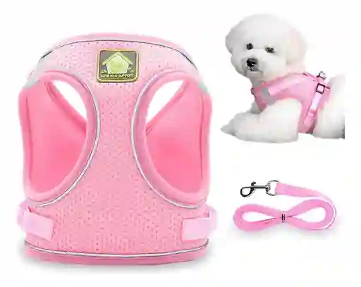 Arnés Y Correa Para Perros De Nailon Reflectante M Rosa Talla Pequeña