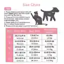 Arnés Y Correa Para Perros De Nailon Reflectante M Rosa Talla Pequeña