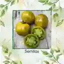 130 Semillas Orgánicas De Tomate Cebra Verde