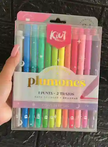 Marcadores Plumones Kiut X24 1 Punta 2 Trazos