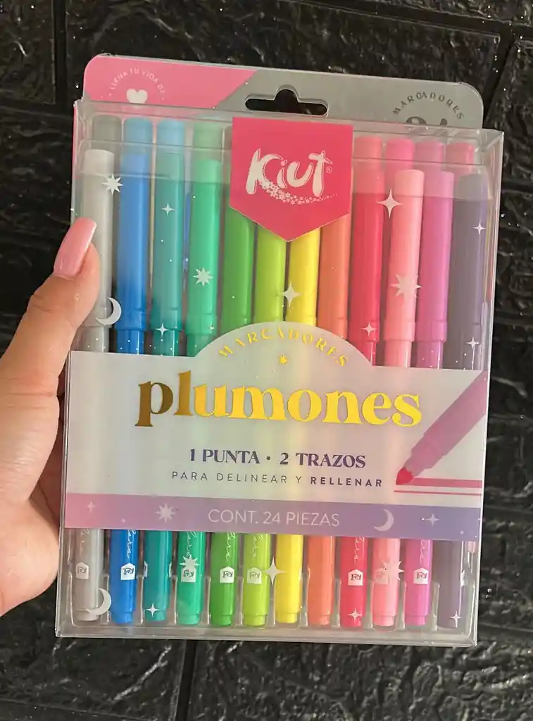 Marcadores Plumones Kiut X24 1 Punta 2 Trazos