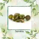 65 Semillas Orgánicas De Tomate Cherry Cebra