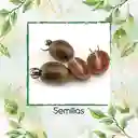 650 Semillas Orgánicas De Tomate Cherry Cebra