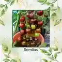65 Semillas Orgánicas De Tomate Cherry Chocolate