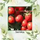 33 Semillas Orgánicas De Tomate Cherry Ciruela Roja