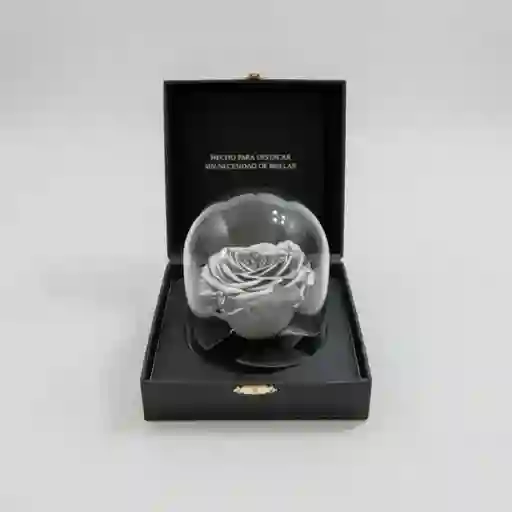 Rosa Preservada Eternals Silver