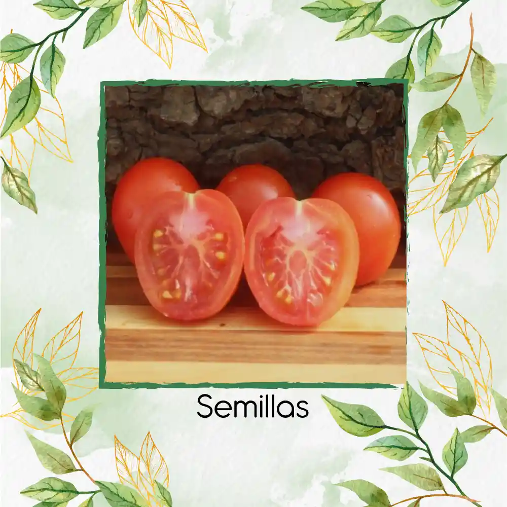 65 Semillas Orgánicas De Tomate Cherry Ciruela Roja