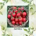 130 Semillas Orgánicas De Tomate Cherry Ciruela Roja