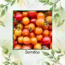 650 Semillas Orgánicas De Tomate Cherry Colores