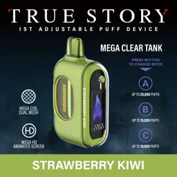 Vapeador True Story Portatil