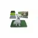 Tapete Entrenamiento Perros Puppy Potty Pad