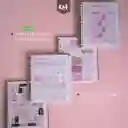 Agenda Premium Kiut - Matter Very Much