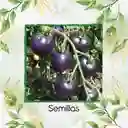 130 Semillas Orgánicas De Tomate Cherry Morado