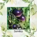 325 Semillas Orgánicas De Tomate Cherry Morado