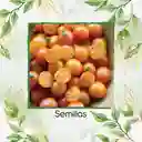 325 Semillas Orgánicas De Tomate Cherry Naranja