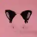 Disfraz Gato Orejitas Diadema Balaca Negra