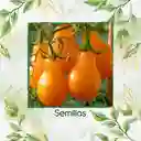 130 Semillas Orgánicas De Tomate Cherry Pera Amarillo