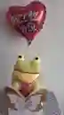 Ancheta Peluche