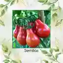 650 Semillas Orgánicas De Tomate Cherry Pera Rojo