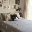 Cojín Cara De Gato Bicolor