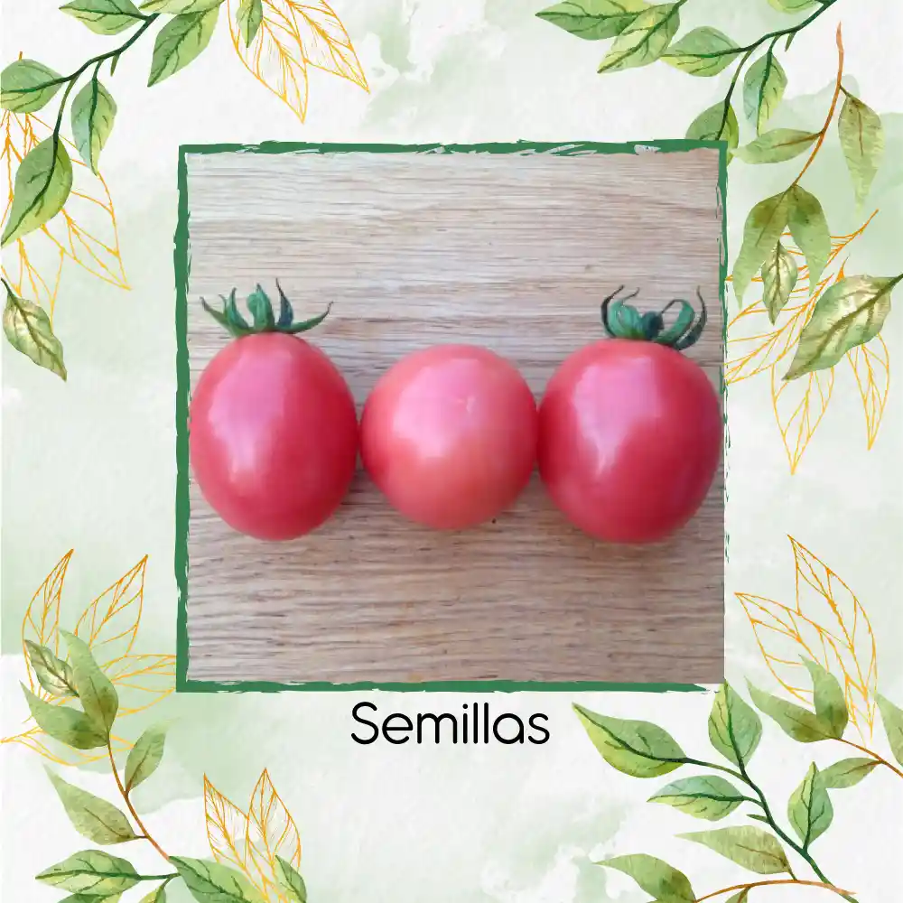 17 Semillas Orgánicas De Tomate Cherry Rosado
